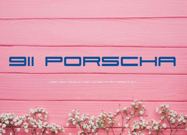 911 Porscha example